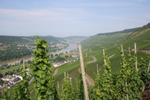 Himmelreich bei Graach