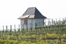 Winklerberg Wanne