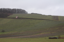 Altenberg