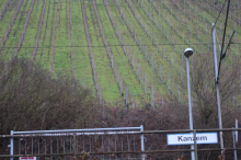 Altenberg