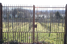 Rheingau