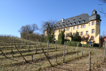 Rheingau