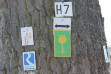 Rheingau