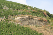 Zeltinger Sonnenuhr