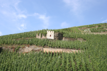 Zeltinger Sonnenuhr