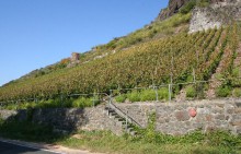 Felsenberg