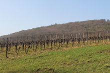 Heydenreich