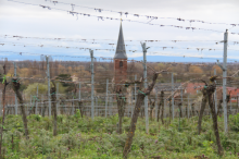 Forster Kirchenstück
