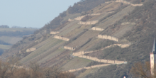 Mittelrhein