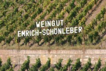 Frühlingsplätzchen