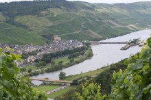 Mosel