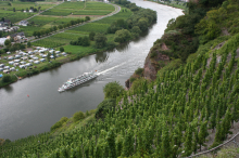 Mosel