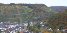 Pfarrwingert