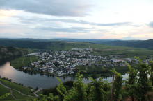 Piesporter Goldtröpfchen