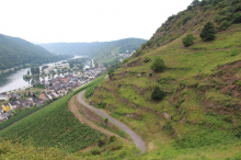 Uhlen