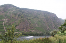 Uhlen