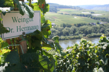 Ürziger Würzgarten
