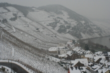Ürziger Würzgarten