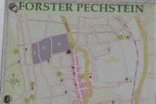 Pechstein