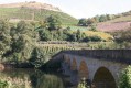Brücke