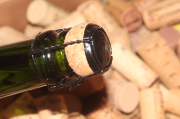 2023 Cremant vom Löss | Baden | brut