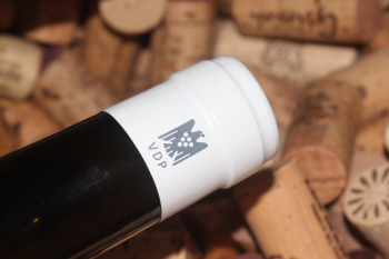 2023 Gipskeuper Chardonnay & Weißburgunder Cuvée | trocken