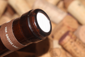 2023 BERG SCHLOSSBERG Riesling GG