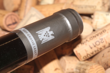 2024 MARIENBURG Kabinett Riesling | fruchtsüß