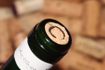 2024 Ayler KUPP Riesling Kabinett Fass 5  | VDP.Versteigerungswein