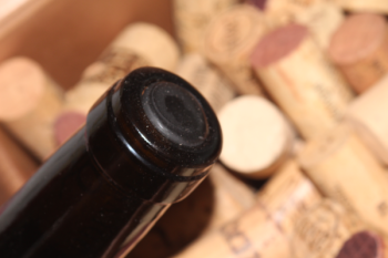 2023 Auxerrois 350 N.N trocken