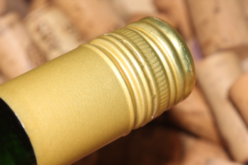 2024 Mosel Riesling trocken | Merkelbach