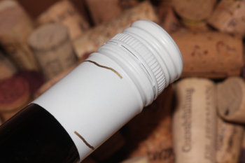 2025 Rheingau Riesling Auslese | Halbflasche