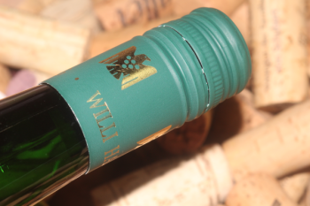 2025 Riesling feinherb | Willi Haag