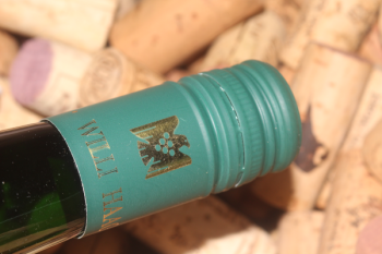 2025 Riesling trocken | Willi Haag