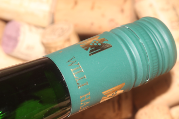 2025 Riesling Grauschiefer Alte Reben feinherb | Willi Haag