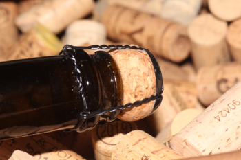 2020 Riesling Sekt Extra Brut | Schloss-Lieser