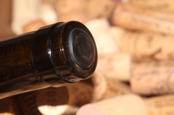 2024 ODINSTAL Riesling GG Monopol