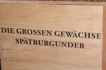 2023 DIE GROSSEN GEWÄCHSE SPÄTBURGUNDER Sortimentskiste | Fürst