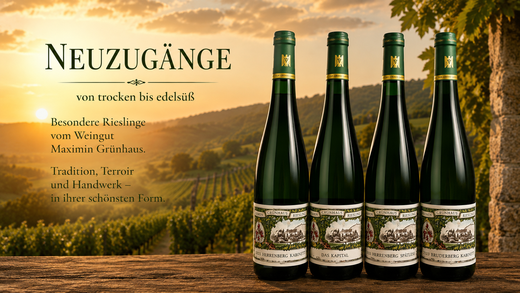 Maximin Grünhaus Neuzugänge
