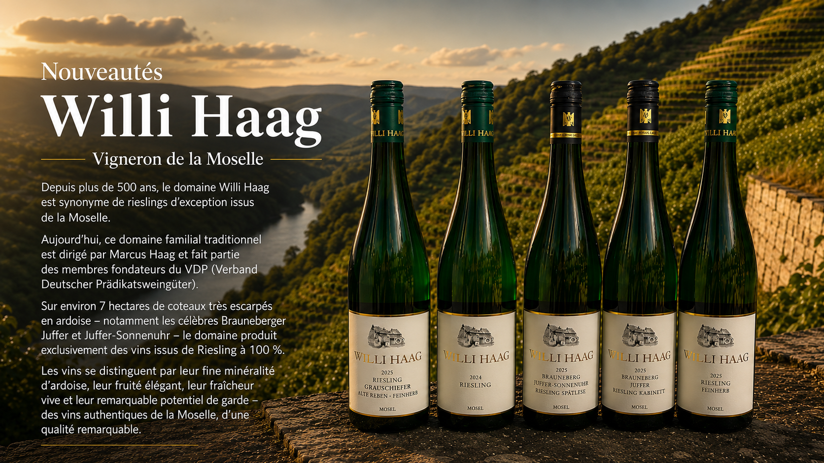 Domain Willi Haag | Moselle