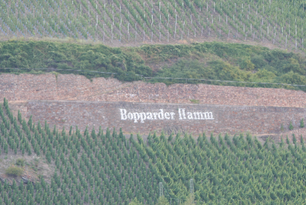 Bopparder Hamm